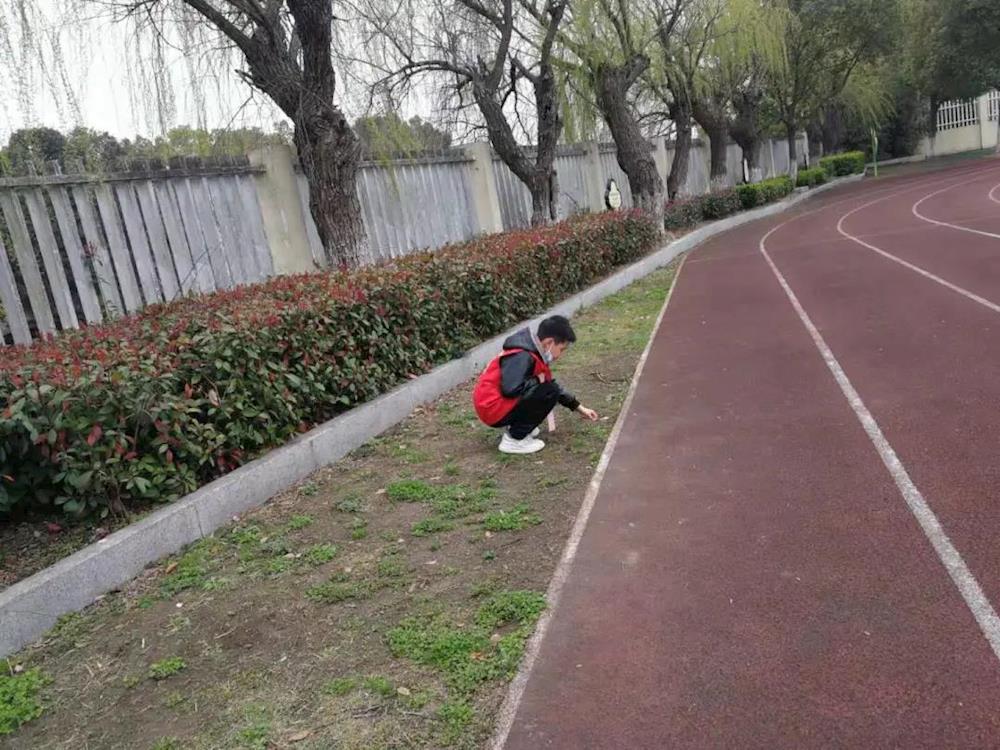 240fda1d8037434dbd618a8b9160df97.Jpeg